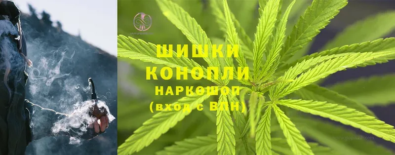 МАРИХУАНА SATIVA & INDICA  где можно купить   Ковров 